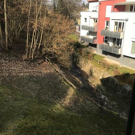 Gaestezimmer Am Oos Bach バーデン＝バーデン エクステリア 写真