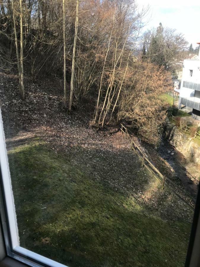 Gaestezimmer Am Oos Bach バーデン＝バーデン エクステリア 写真
